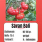 Savan Bali DER TOMATENFLÜSTERER