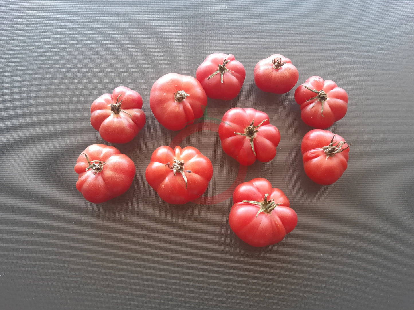 Savan Bali DER TOMATENFLÜSTERER