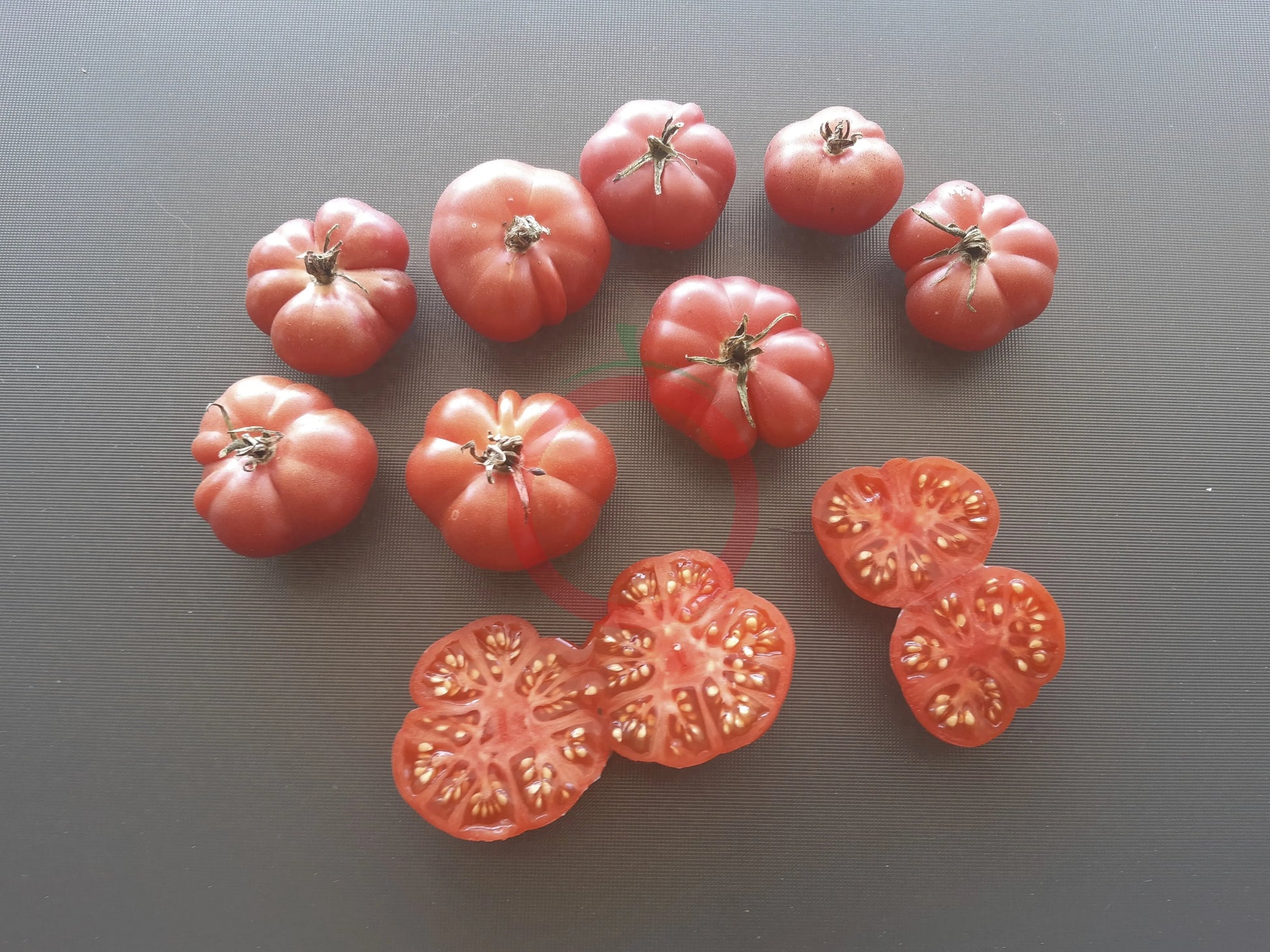 Savan Bali DER TOMATENFLÜSTERER