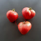 Sayanogorskie DER TOMATENFLÜSTERER