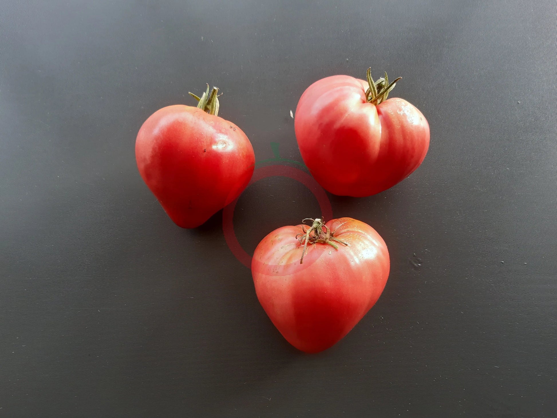 Sayanogorskie DER TOMATENFLÜSTERER