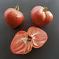 Sayanogorskie DER TOMATENFLÜSTERER