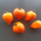 Serdtse Pustyni DER TOMATENFLÜSTERER