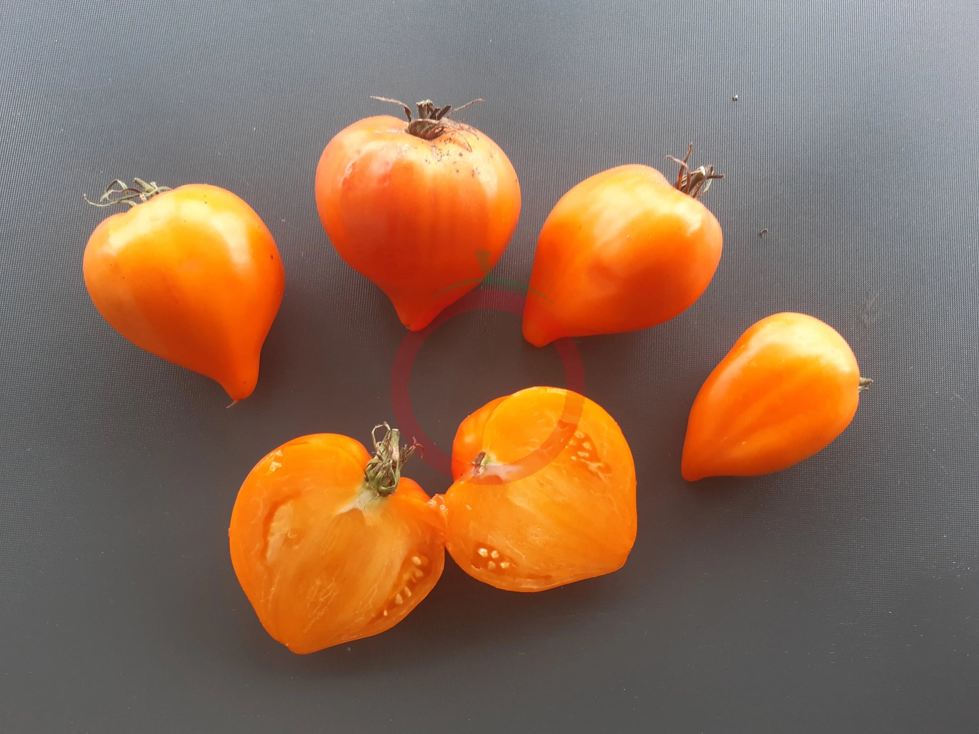 Serdtse Pustyni DER TOMATENFLÜSTERER