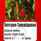 Serrano Tampiqueno DER TOMATENFLÜSTERER