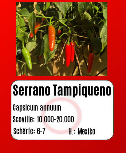 Serrano Tampiqueno DER TOMATENFLÜSTERER