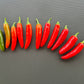 Serrano Tampiqueno DER TOMATENFLÜSTERER