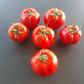 Seven Gnomes DER TOMATENFLÜSTERER