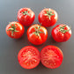 Seven Gnomes DER TOMATENFLÜSTERER