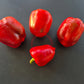 Sherlock Holmes DER TOMATENFLÜSTERER