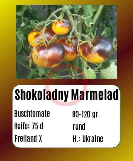 Shokoladnyy Marmelad DER TOMATENFLÜSTERER
