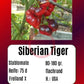 Siberian Tiger DER TOMATENFLÜSTERER