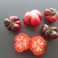 Siberian Tiger DER TOMATENFLÜSTERER