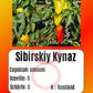 Sibirskiy Kynaz DER TOMATENFLÜSTERER