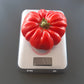 Sicilian Saucer DER TOMATENFLÜSTERER