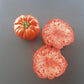 Sicilian Saucer DER TOMATENFLÜSTERER