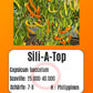 Sili-A-Top DER TOMATENFLÜSTERER