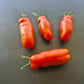 Smiley Worms DER TOMATENFLÜSTERER