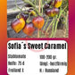 Sofia´s Sweet Caramel DER TOMATENFLÜSTERER