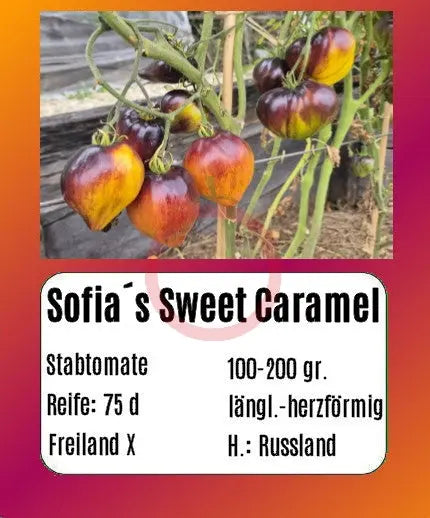 Sofia´s Sweet Caramel DER TOMATENFLÜSTERER