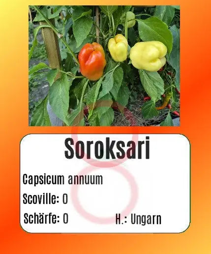 Soroksari DER TOMATENFLÜSTERER