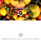 Sortenset Balkontomaten 2025 DER TOMATENFLÜSTERER