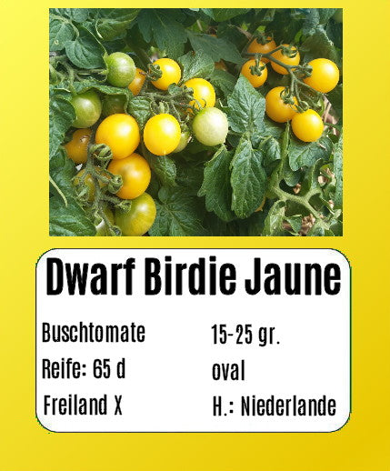 Sortenset Balkontomaten 2025 DER TOMATENFLÜSTERER