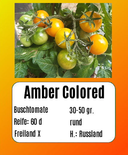 Sortenset Balkontomaten 2025 DER TOMATENFLÜSTERER