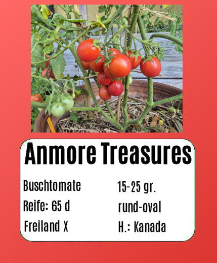 Sortenset Balkontomaten 2025 DER TOMATENFLÜSTERER
