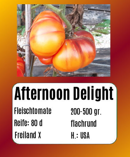 Sortenset Bunte Fleischtomaten 2025 DER TOMATENFLÜSTERER