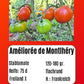 Sortenset Bunte Salattomaten 2025 DER TOMATENFLÜSTERER