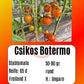 Sortenset Bunte Salattomaten 2025 DER TOMATENFLÜSTERER