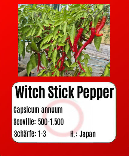 Sortenset Chilis 2025 DER TOMATENFLÜSTERER