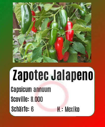 Sortenset Chilis 2025 DER TOMATENFLÜSTERER