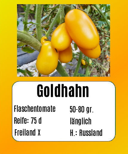 Sortenset Robuste Freilandsorten 2024 DER TOMATENFLÜSTERER