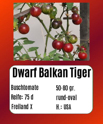 Sortenset Robuste Freilandsorten 2024 DER TOMATENFLÜSTERER