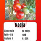 Sortenset Robuste Freilandsorten 2024 DER TOMATENFLÜSTERER