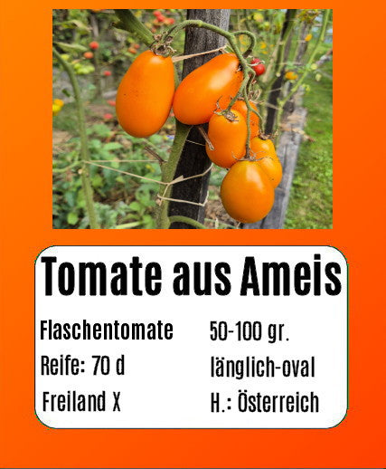 Sortenset Robuste Freilandsorten 2025 DER TOMATENFLÜSTERER