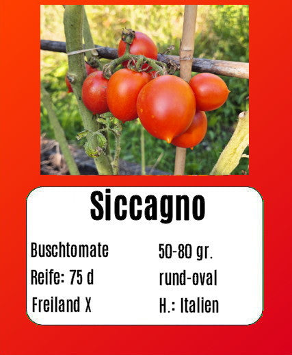 Sortenset "Pomodori dell bella Italia" DER TOMATENFLÜSTERER