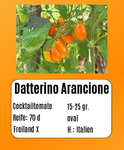 Sortenset "Pomodori dell bella Italia" DER TOMATENFLÜSTERER