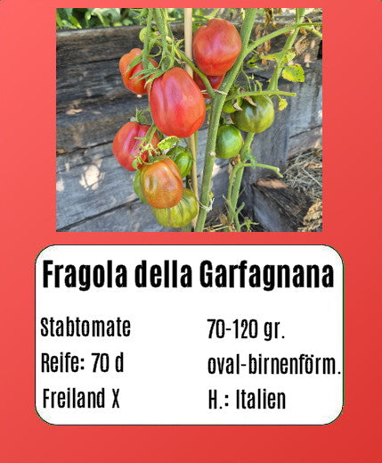 Sortenset "Pomodori dell bella Italia" DER TOMATENFLÜSTERER