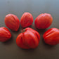 Spadone Gigante DER TOMATENFLÜSTERER