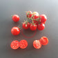 Spunky Bird DER TOMATENFLÜSTERER