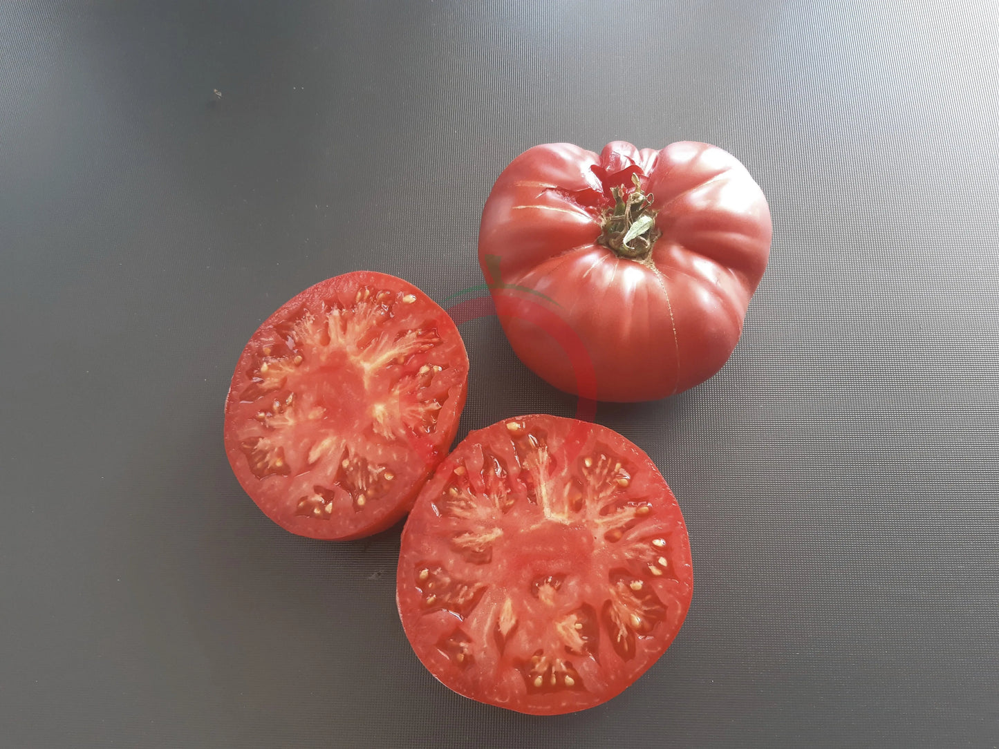 St. Teresa DER TOMATENFLÜSTERER