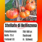 Stellato di Bellinzona DER TOMATENFLÜSTERER