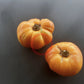 Stellato di Bellinzona DER TOMATENFLÜSTERER