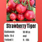 Strawberry Tiger DER TOMATENFLÜSTERER
