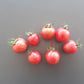 Strawberry Tiger DER TOMATENFLÜSTERER