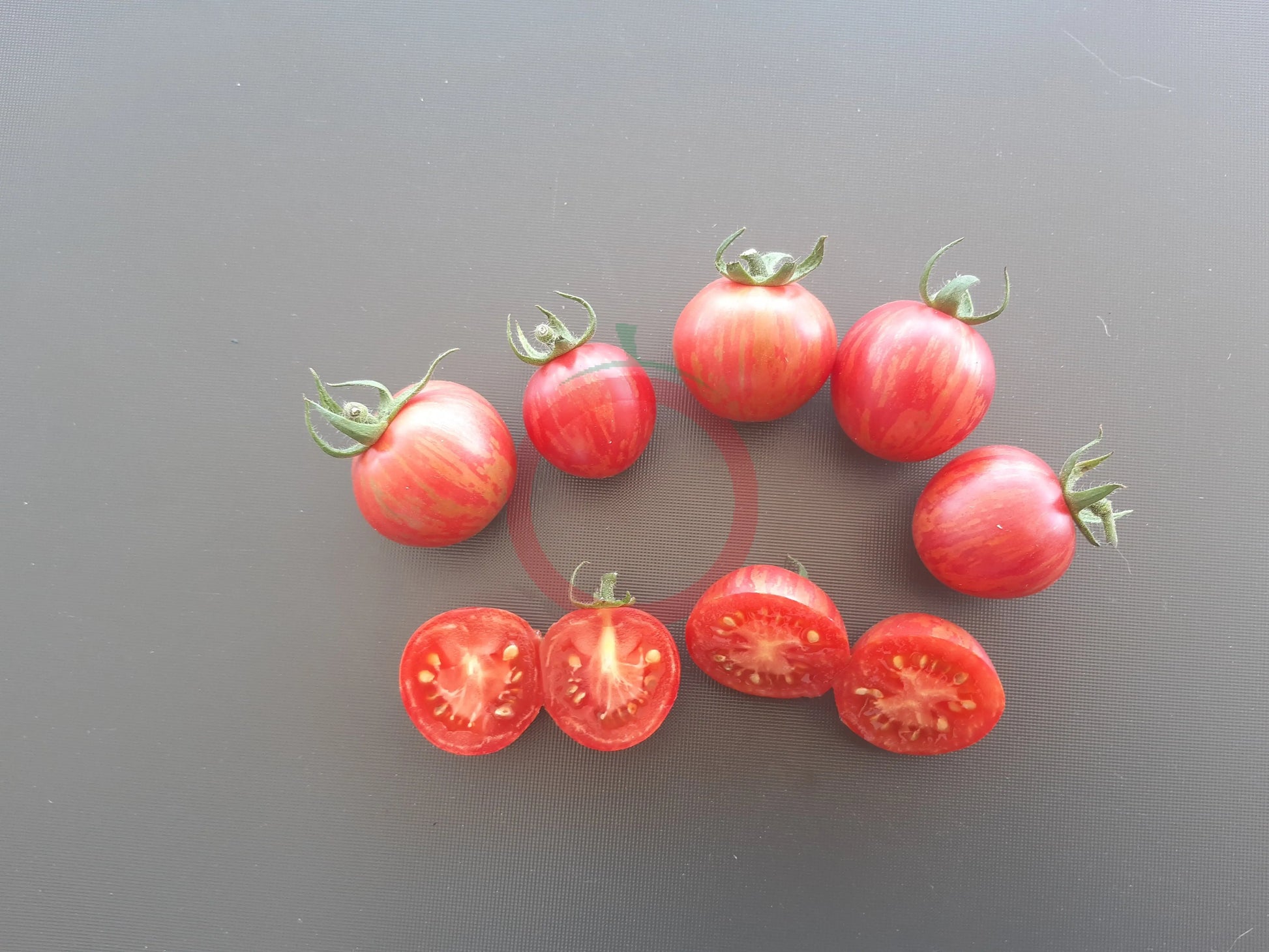 Strawberry Tiger DER TOMATENFLÜSTERER