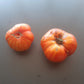 Striped Jester DER TOMATENFLÜSTERER